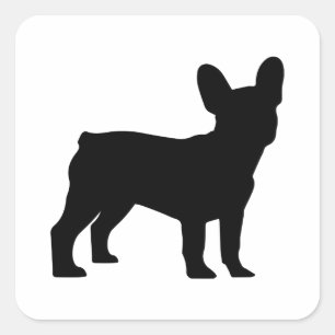 Frenchie Vierkante Sticker