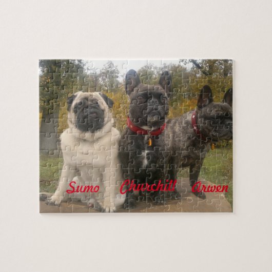 Frenchies en pugs legpuzzel (Horizontaal)