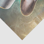 Frenchie's Flush, Franse Bulldog Pokert Tissuepapier (Detail)
