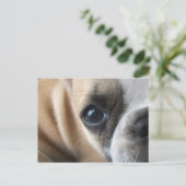 Frenchton puppy gezicht close-up briefkaart (Staand voorkant)
