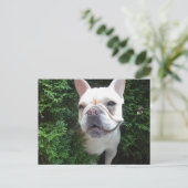 Frenchy on Patrol Briefkaart (Staand voorkant)