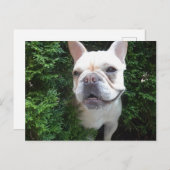 Frenchy on Patrol Briefkaart (Voorkant / Achterkant)