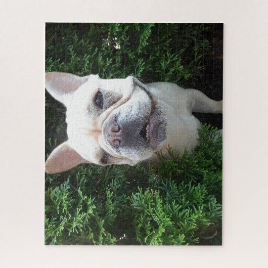 Frenchy on Patrol Legpuzzel (Verticaal)