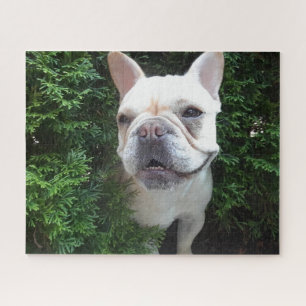 Frenchy op Patrouille Legpuzzel