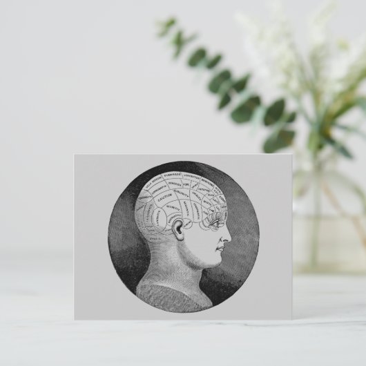 Frenologie Briefkaart (Staand voorkant)