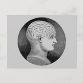 Frenologie Briefkaart (Voorkant)