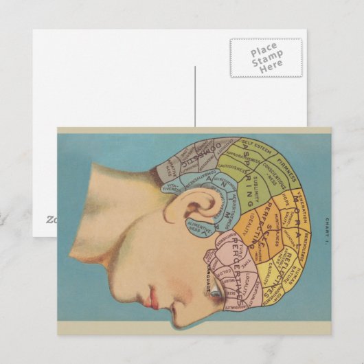 Frenologie Briefkaart (Voorkant / Achterkant)