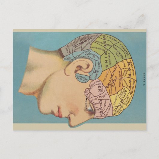 Frenologie Briefkaart (Voorkant)
