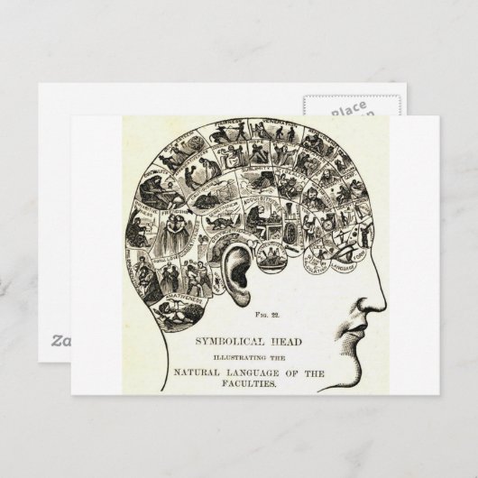 Frenologie Briefkaart (Voorkant / Achterkant)