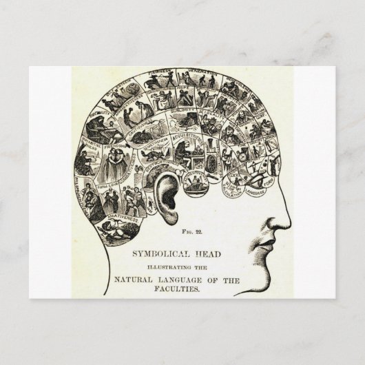 Frenologie Briefkaart (Voorkant)