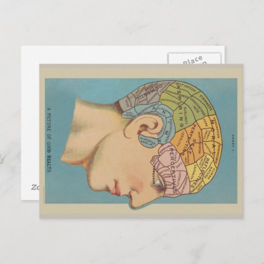 Frenologie Briefkaart (Voorkant / Achterkant)