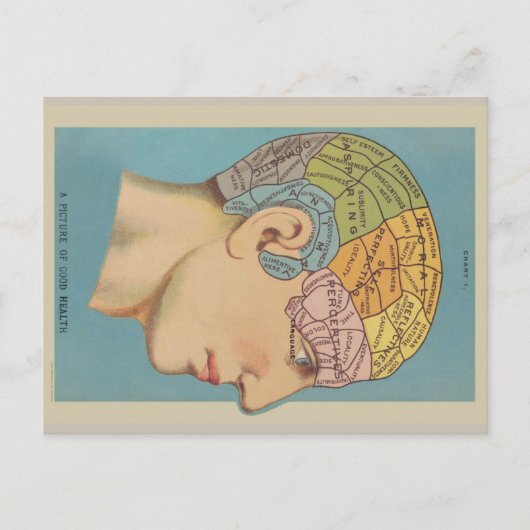 Frenologie Briefkaart (Voorkant)