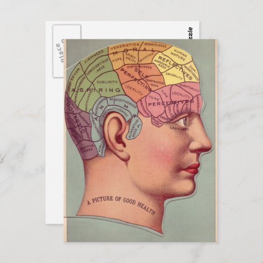 Frenologie Hoofd in Kleur Briefkaart (Voorkant / Achterkant)