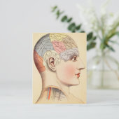 Frenologie Hoofd -  Post Kaart (Staand voorkant)