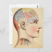 Frenologie Hoofd -  Post Kaart (Voorkant / Achterkant)