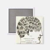 Frenologie Magneet (Voorkant / Achterkant)