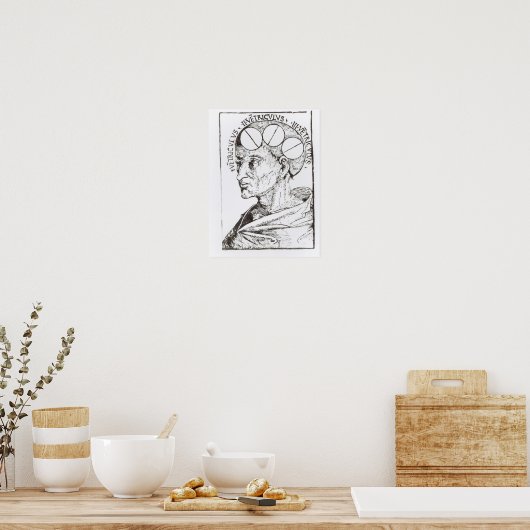 Frenologie Poster (Keuken)