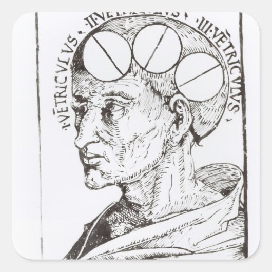 Frenologie Vierkante Sticker (Voorkant)