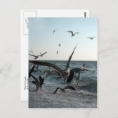 Frenzy Briefkaart (Voorkant / Achterkant)