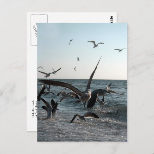 Frenzy Briefkaart (Voorkant / Achterkant)