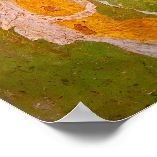 Fresco van Flora in Villa van Ariadne, Pompeii Poster (Hoek)