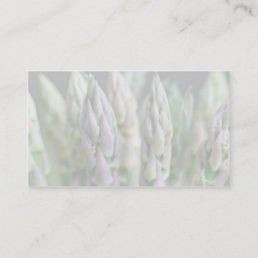 Fresh Asparagus Visitekaartje (Achterkant)