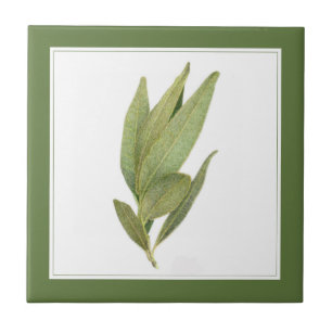FRESH BAY LEAVES 4,25" Keramische Tegel (-tekst) G Tegeltje