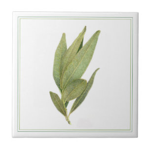 FRESH BAY LEAVES 4.25x4.25 Keramische Tegel (-teks Tegeltje