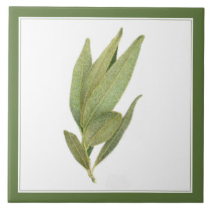 FRESH BAY LEAVES 6 "x6" Keramische Tegel (-tekst)  Tegeltje
