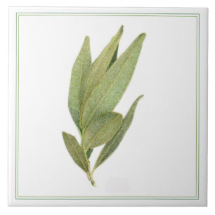 FRESH BAY LEAVES 6 "x6" Keramische Tegel (-tekst) Tegeltje