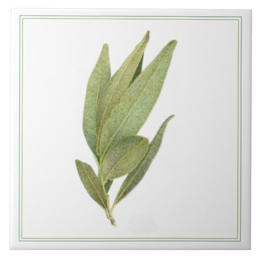 FRESH BAY LEAVES 6 "x6" Keramische Tegel (-tekst) Tegeltje (Voorkant)