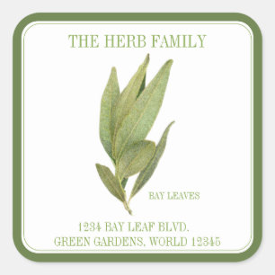 FRESH BAY LEAVES Groot Vierkant Adres Afdichtingen Vierkante Sticker