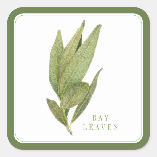 FRESH BAY LEAVES Grote Vierkante Stickers - Groen (Voorkant)