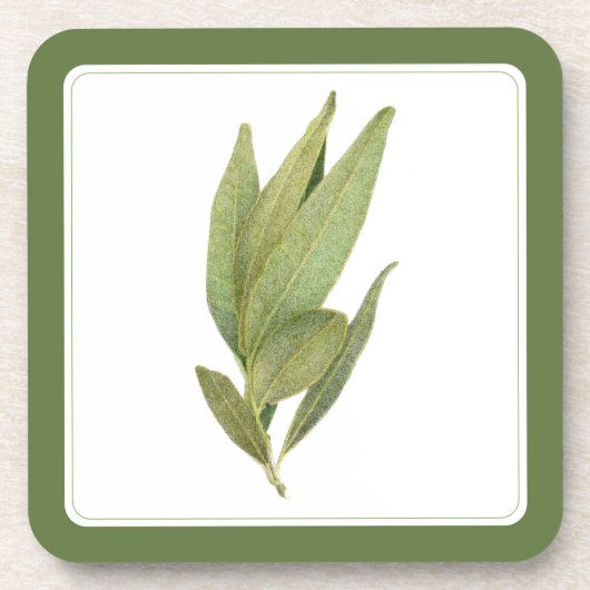 FRESH BAY LEAVES Hard Plastic Onderzetters - tekst (Voorkant)
