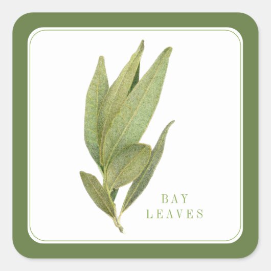 FRESH BAY LEAVES Kleine Vierkante Stickers - Groen (Voorkant)