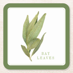 FRESH BAY LEAVES Vierkant Papier Onderzetters +tek