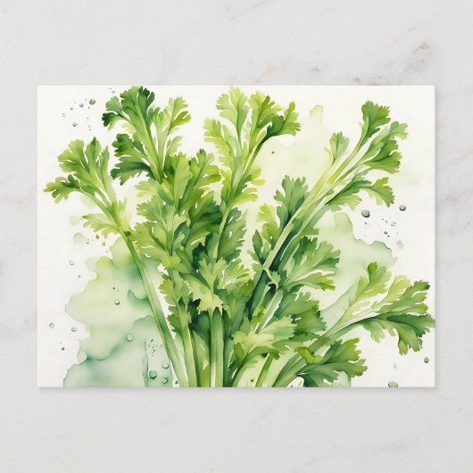 Fresh Celery Stalk Waterverf Botanisch Briefkaart (Voorkant)