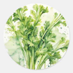 Fresh Celery Stalk Waterverf Botanisch Ronde Sticker