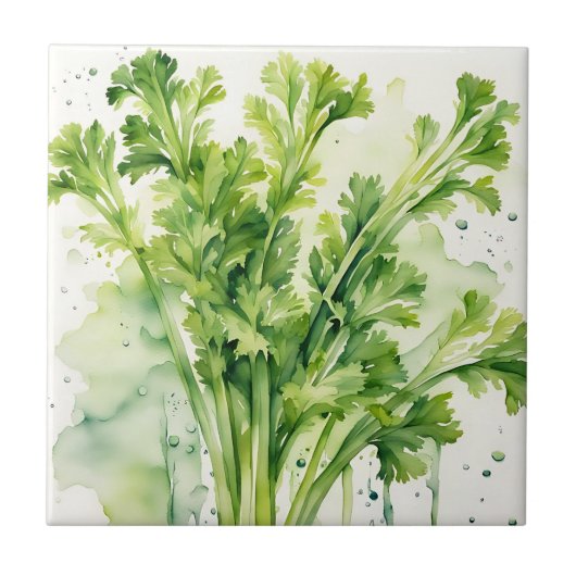 Fresh Celery Stalk Waterverf Botanisch Tegeltje (Voorkant)