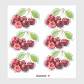 Fresh Cherry Sticker Sheet | realistisch fruit (Vel)