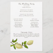 Fresh Citrus Painted Lemons Modern Mediterranean (Achterkant)