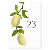 Fresh Citrus Painted Lemons Modern Mediterranean Kaart (Voorkant)