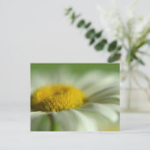 Fresh Daisy Briefkaart (Staand voorkant)