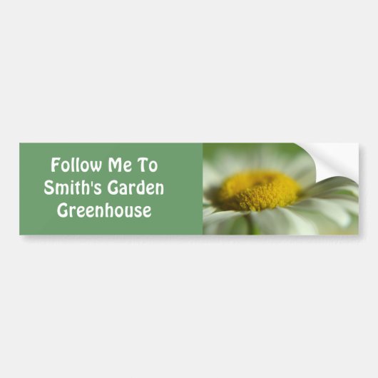 Fresh Daisy Bumpersticker (Voorkant)