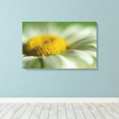Fresh Daisy Canvas Afdruk (Insitu (Houten vloer))