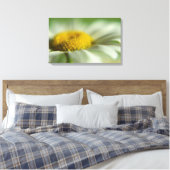 Fresh Daisy Canvas Afdruk (Insitu (Slaapkamer))