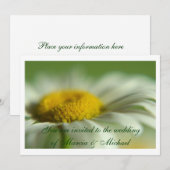 Fresh Daisy Kaart (Voorkant / Achterkant)