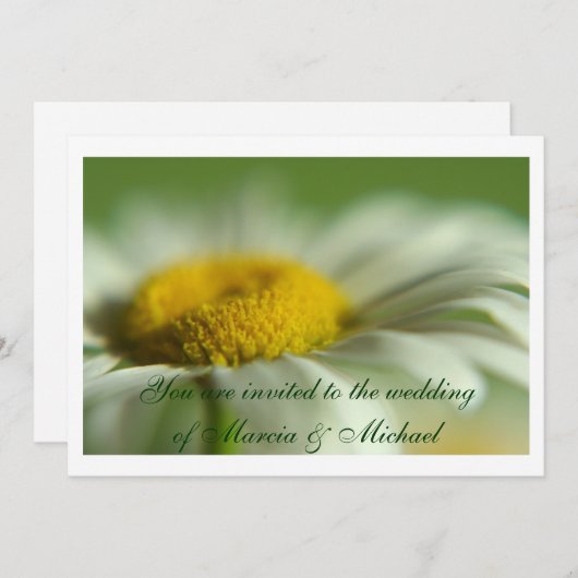 Fresh Daisy Kaart (Voorkant / Achterkant)