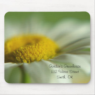 Fresh Daisy Muismat
