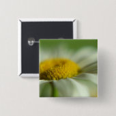 Fresh Daisy Vierkante Button 5,1 Cm (Voorkant /achterkant)